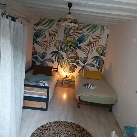 Le Logis De La Rue Des Arts Apartment บลัวส์ ภายนอก รูปภาพ