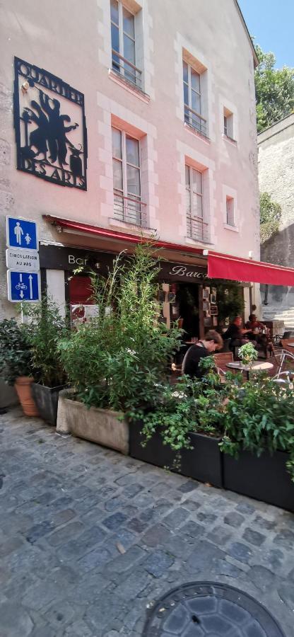 Le Logis De La Rue Des Arts Apartment บลัวส์ ภายนอก รูปภาพ