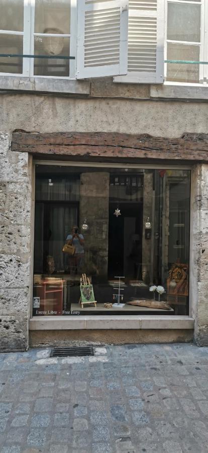 Le Logis De La Rue Des Arts Apartment บลัวส์ ภายนอก รูปภาพ