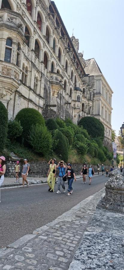 Le Logis De La Rue Des Arts Apartment บลัวส์ ภายนอก รูปภาพ