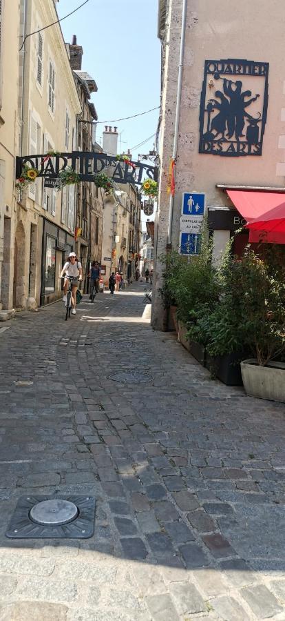 Le Logis De La Rue Des Arts Apartment บลัวส์ ภายนอก รูปภาพ