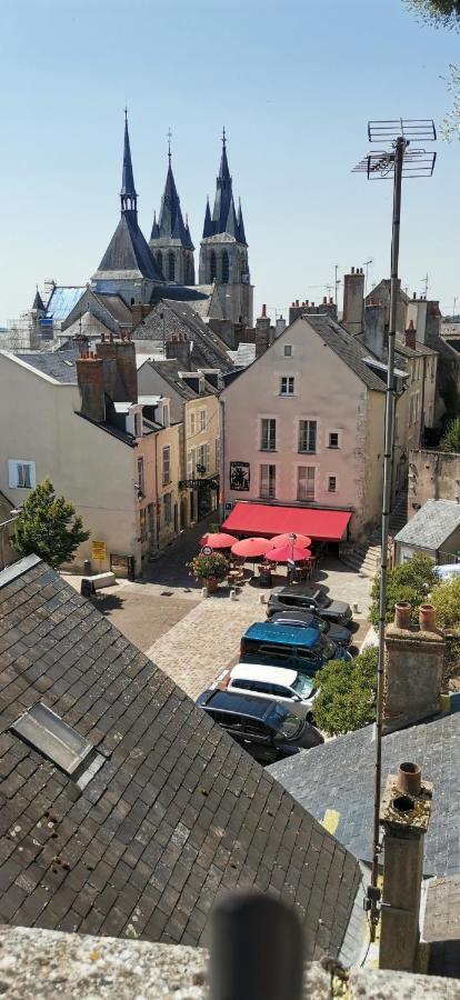 Le Logis De La Rue Des Arts Apartment บลัวส์ ภายนอก รูปภาพ