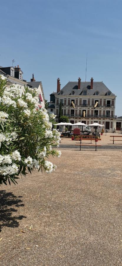 Le Logis De La Rue Des Arts Apartment บลัวส์ ภายนอก รูปภาพ