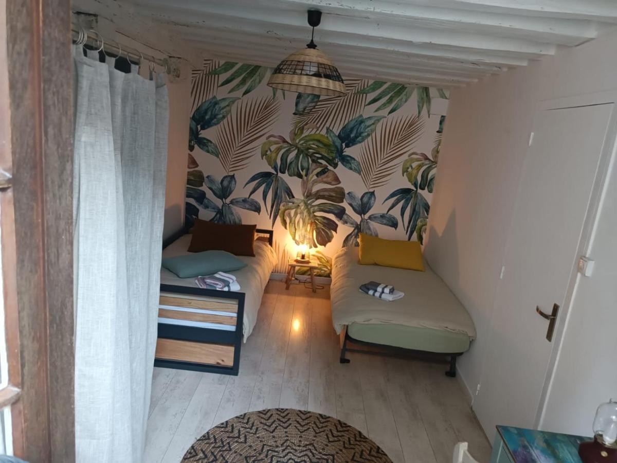 Le Logis De La Rue Des Arts Apartment บลัวส์ ภายนอก รูปภาพ