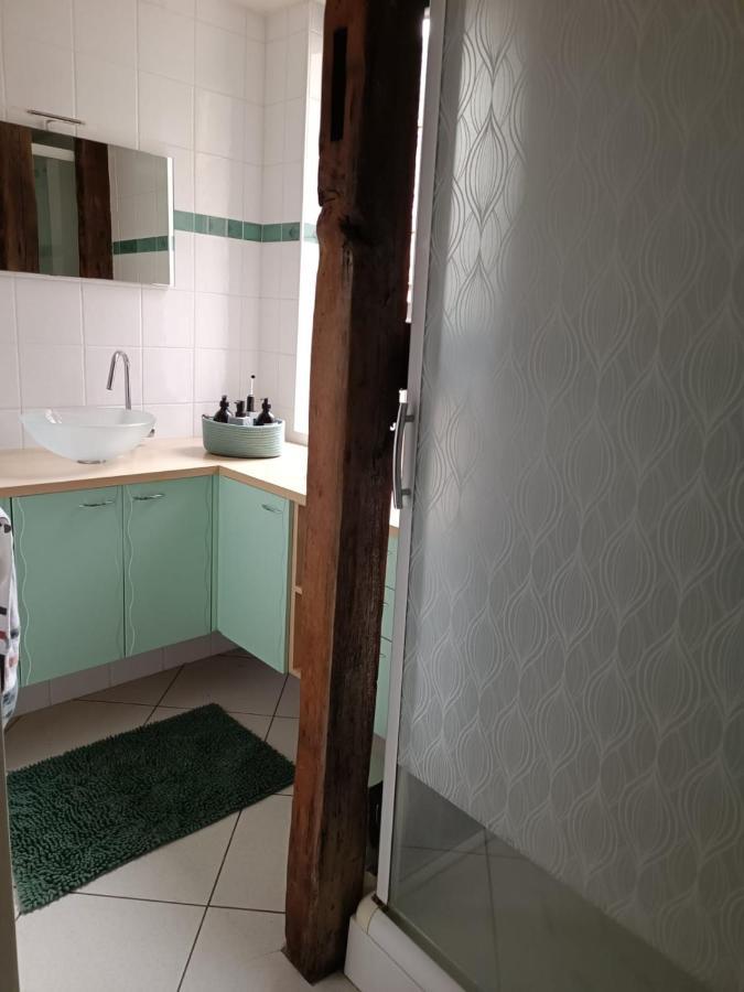 Le Logis De La Rue Des Arts Apartment บลัวส์ ภายนอก รูปภาพ