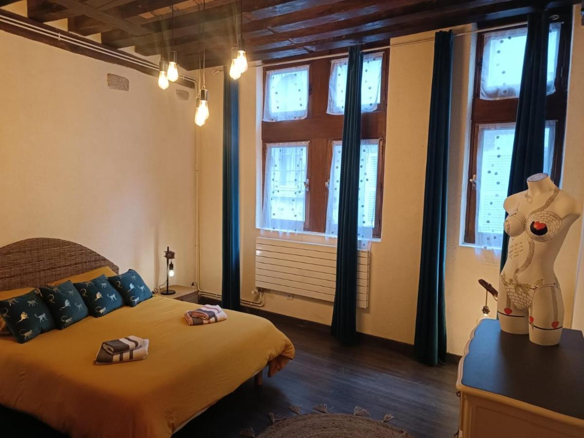 Le Logis De La Rue Des Arts Apartment บลัวส์ ภายนอก รูปภาพ