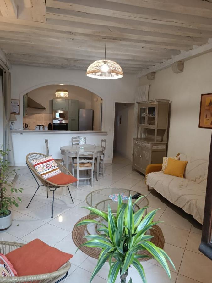 Le Logis De La Rue Des Arts Apartment บลัวส์ ภายนอก รูปภาพ